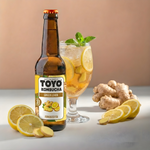 Load image into Gallery viewer, Trial Pack / Low Sugar Toyo Kombucha
